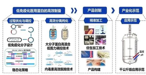 西北大學獲批3項國家重點研發計劃，聚焦生物化工產品技術研發新突破