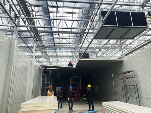 科技賦能農業新愿景 生物化工技術引領的草莓植物工廠，開啟全年“草莓自由”時代